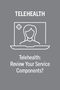 Telehealth: Review Your Service Components (The Doctor